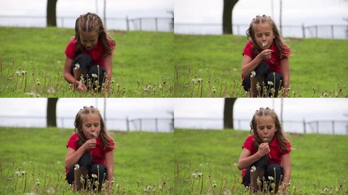 蹲在草丛中吹蒲公英种子的年轻女孩