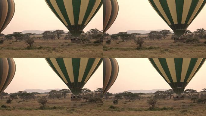特写: 快乐的人们在野生动物园热气球中飞行接近地面