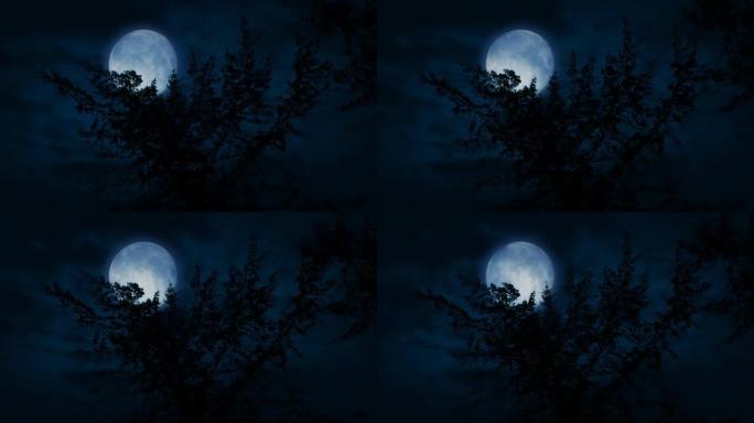 晚上树顶后面的大月亮