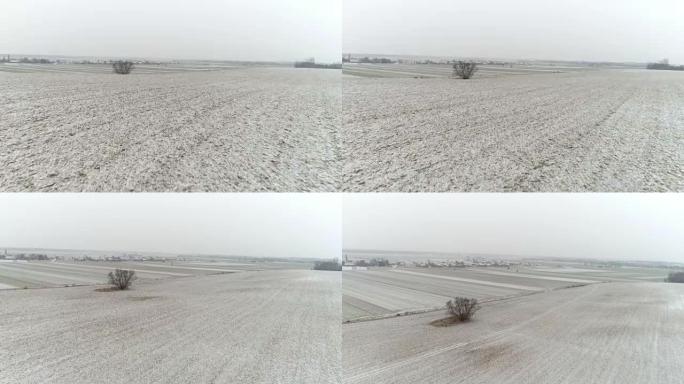 WS鸟瞰图宁静，农村积雪覆盖的田野，普雷克默耶，斯洛文尼亚