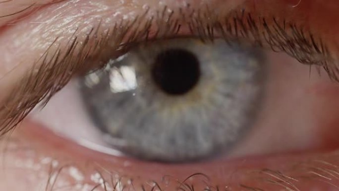 微距dop: 男性眼睛的微距拍摄，从强烈的蓝色虹膜重新聚焦到睫毛