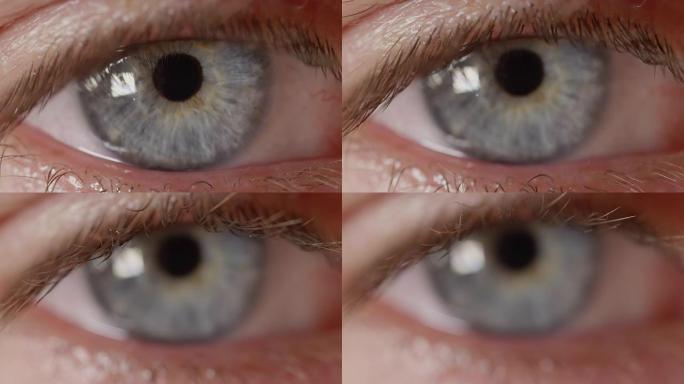 微距dop: 男性眼睛的微距拍摄，从强烈的蓝色虹膜重新聚焦到睫毛
