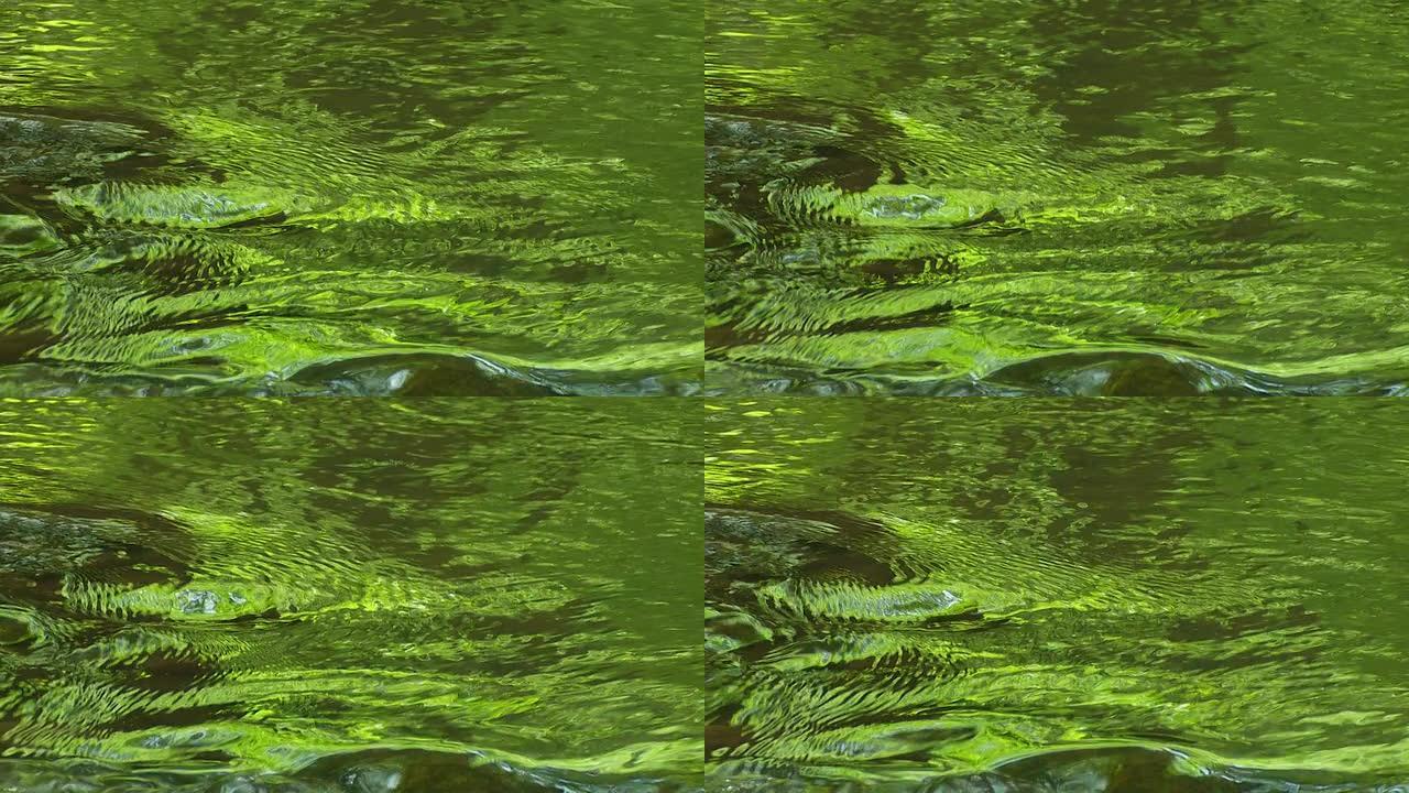 绿色反射水特写（可循环）