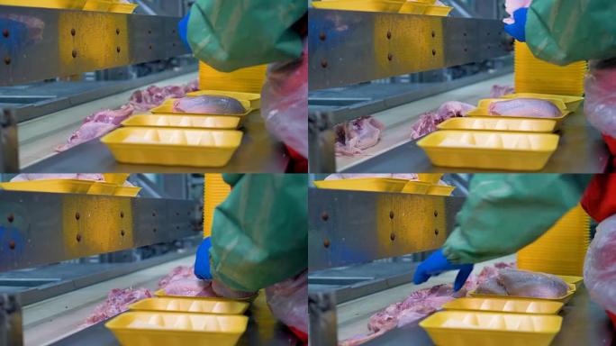 一名工人手动将鸡尸体包装在黄色塑料容器上。4K。