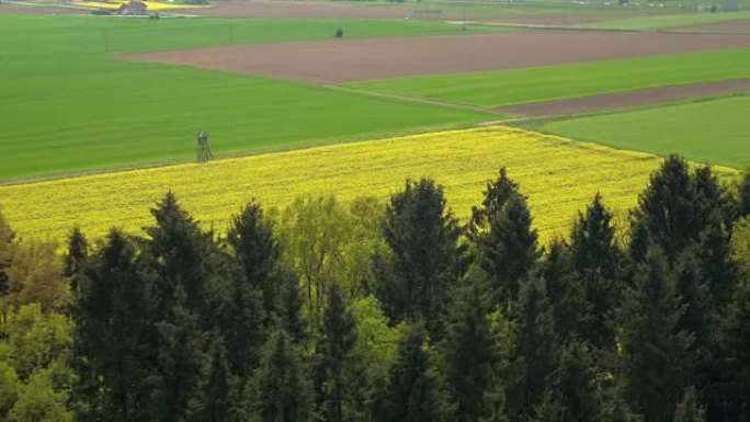 天线:在阳光明媚的日子里，广阔的乡村农田里郁郁葱葱的绿色和黄色田野