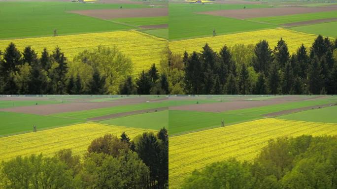 天线:在阳光明媚的日子里，广阔的乡村农田里郁郁葱葱的绿色和黄色田野