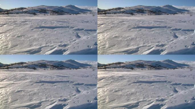 山上吹雪雪林雪景冰天雪地