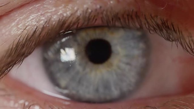 MACRO dop: 拍摄男人的睫毛，并重新聚焦到他生动明亮的蓝眼睛。