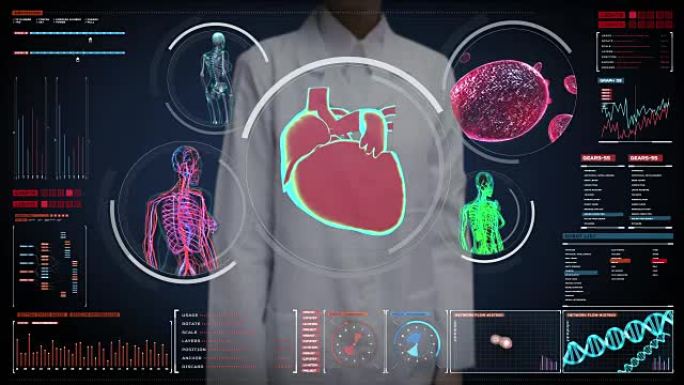 女医生触摸数字屏幕，女性身体扫描血管，淋巴，心脏，循环系统在数字显示仪表板。蓝色x射线视图。