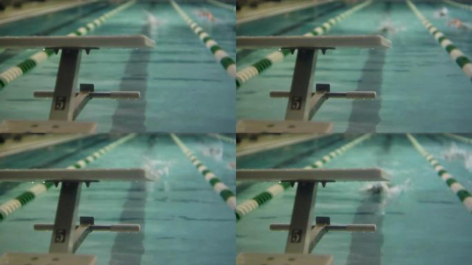 HD：单圈泳道上的游泳运动员