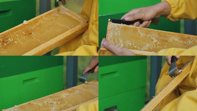 夏季养蜂人清洁木制蜂蜜框架在养蜂场工作的特写镜头