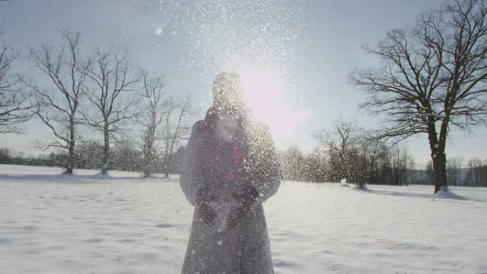 慢动作: 快乐的年轻女性在大自然中吹雪花