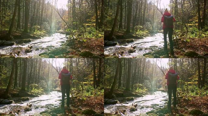 女士女徒步旅行者，背着背包站在斯洛文尼亚秋天树林中阳光明媚，宁静的溪流中