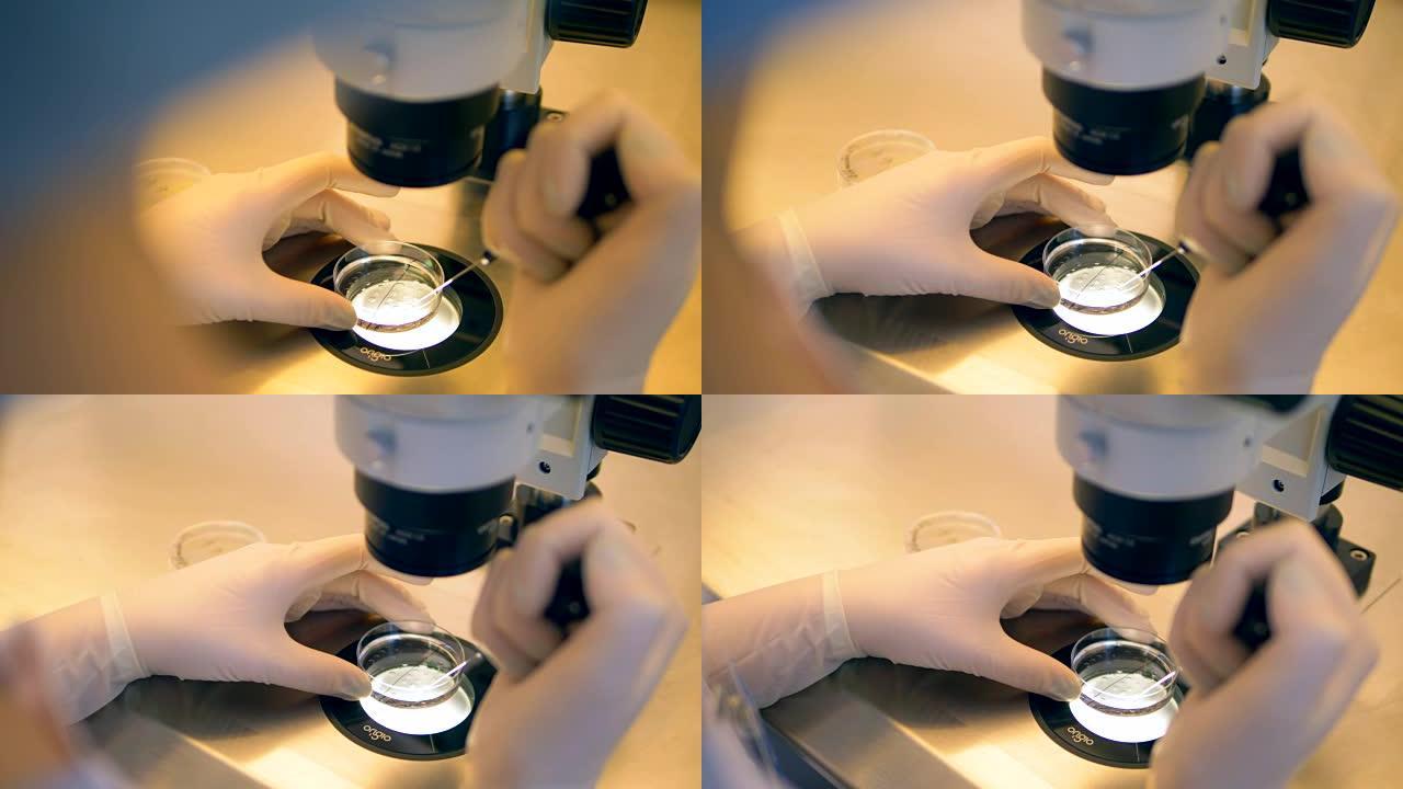 聚焦于病毒样品的显微镜透镜的宏观视图。