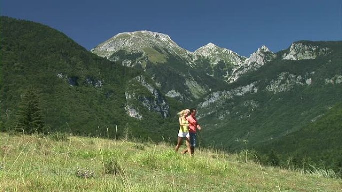 高清: 在草地上行走