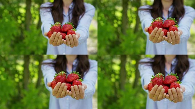 美丽的年轻女孩手里拿着干净的萝卜，在大自然的背景下。概念: 生物，生物产品，生物生态，种植蔬菜，天然