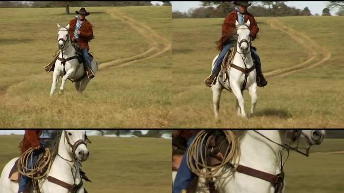 西班牙裔得克萨斯牛仔骑着白马奔跑