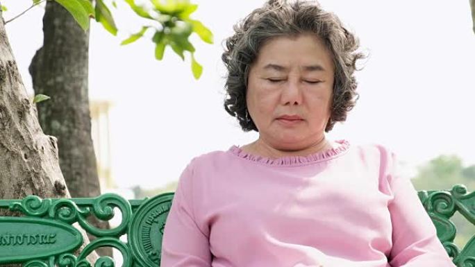 老妇人睡着了，昏昏欲睡的祖母在公园的长凳上。