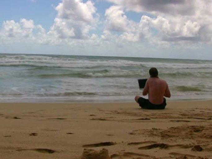 工作狂男子在海滩上用笔记本电脑和手机工作：树叶