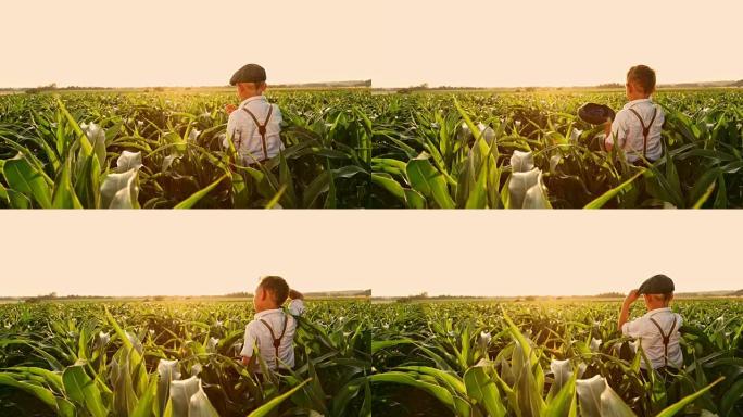 宁静的年轻农民站在阳光明媚、田园诗般的农村玉米田里，实时