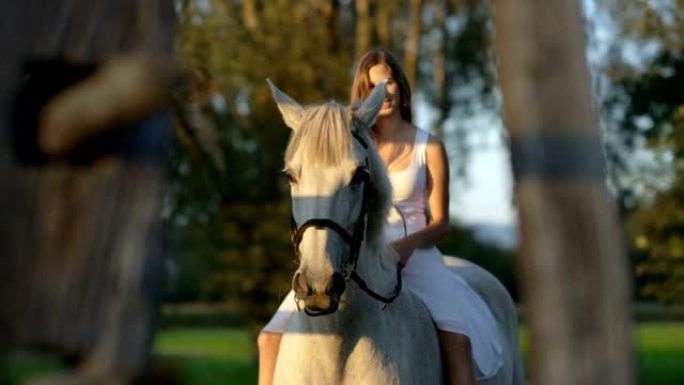 特写: 穿着白色连衣裙的漂亮女孩光着背骑着美丽的白色种马