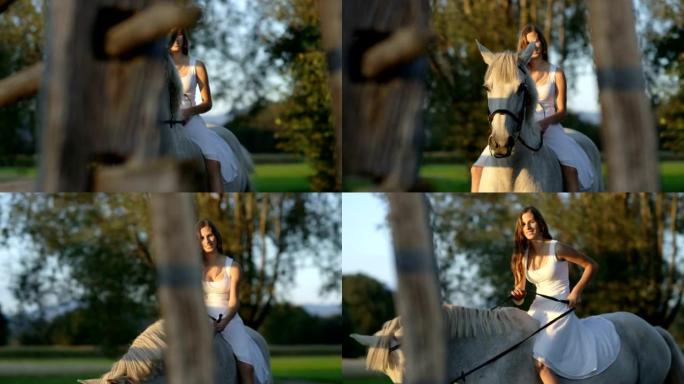 特写: 穿着白色连衣裙的漂亮女孩光着背骑着美丽的白色种马