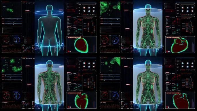 女性人体扫描淋巴系统在数字显示仪表板。