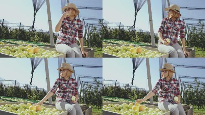 DS女人在果园里吃苹果做零食