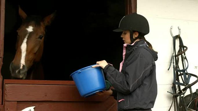 女人在马stable里喂马