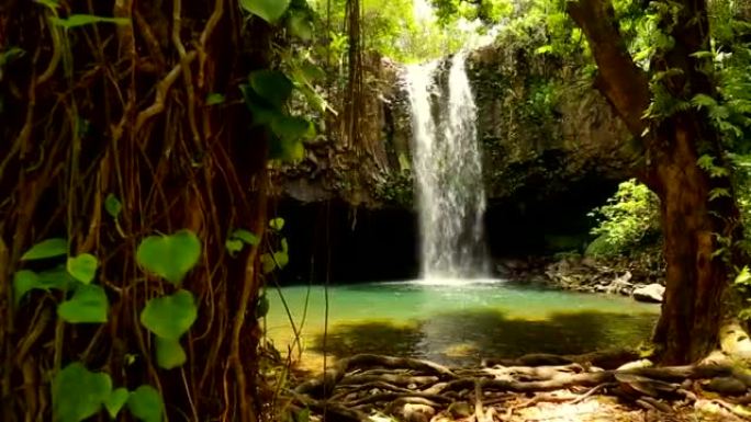 令人惊叹的热带瀑布。自然风景。