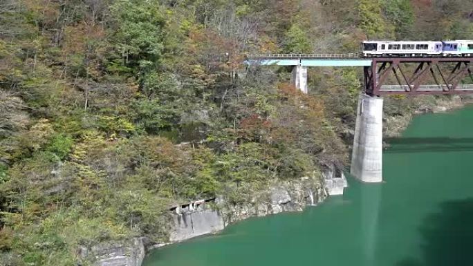 平移镜头: 日本福岛大川水坝湖和阿加河观景带红假景观