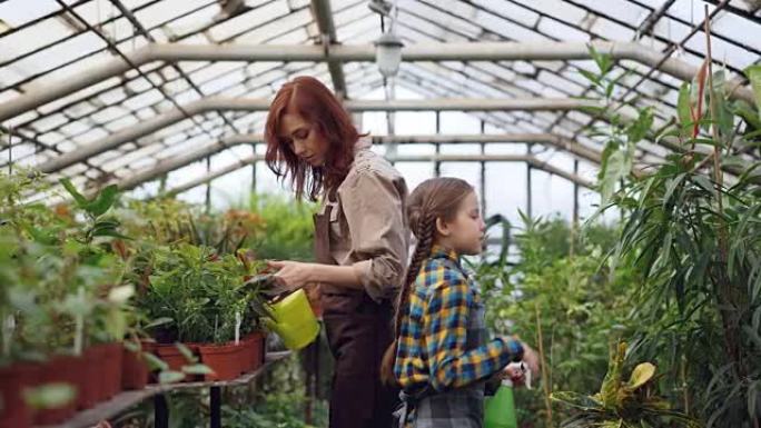 开朗的温室工人正在和她乐于助人的女儿在工作场所给植物浇水，并与孩子交谈，而小女孩则在撒上绿色植物并大