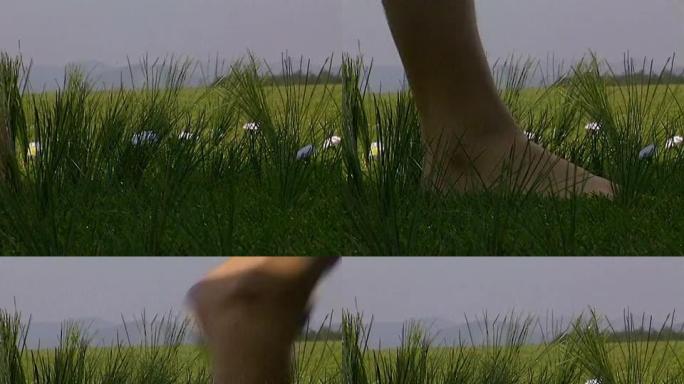 光着脚在草地上光着脚在草地上
