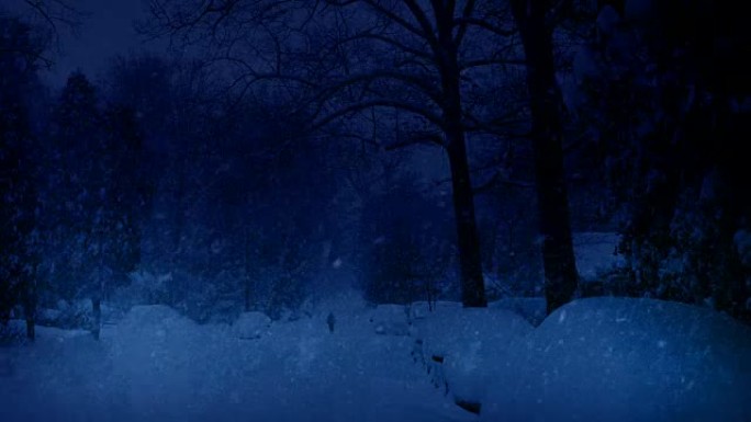 男子在夜间降雪中行走