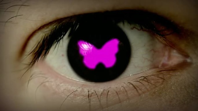 眼睛里有蝴蝶形状的虹膜。