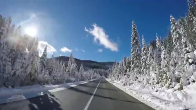 在阳光明媚的日子里，冬天在积雪覆盖的森林的空旷道路上行驶