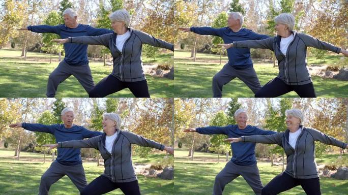 一对老年夫妇在公园里一起练瑜伽