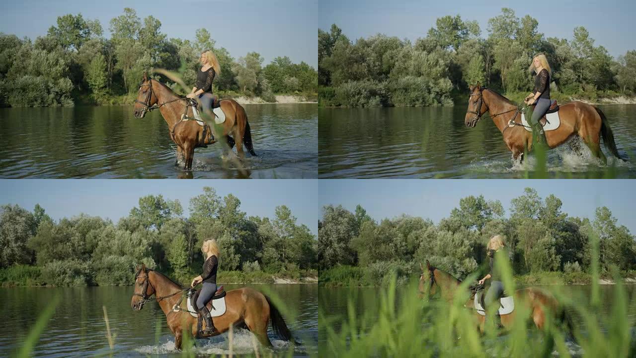 特写: 度假的女人在草木河岸的水中骑马