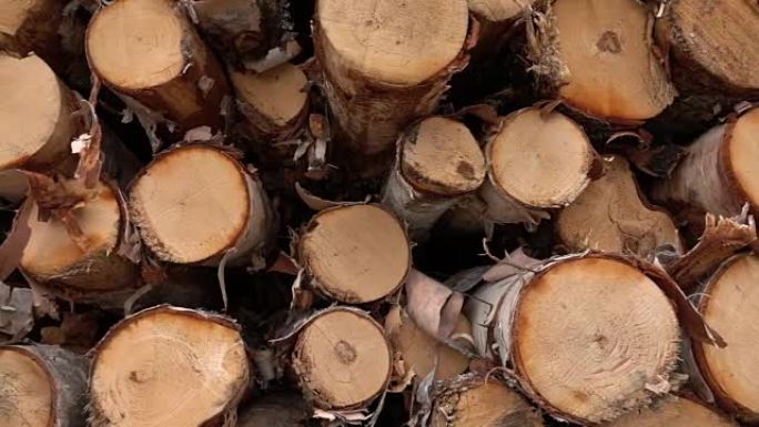 特写: 将新鲜的木材切成原木，并堆放在木材场上的巨大木桩中