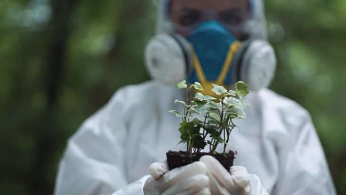 持有植物样本的匿名生态学家