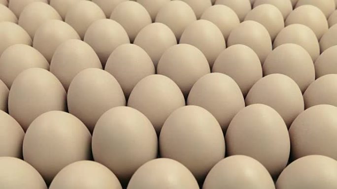 传递鸡蛋-商业农业