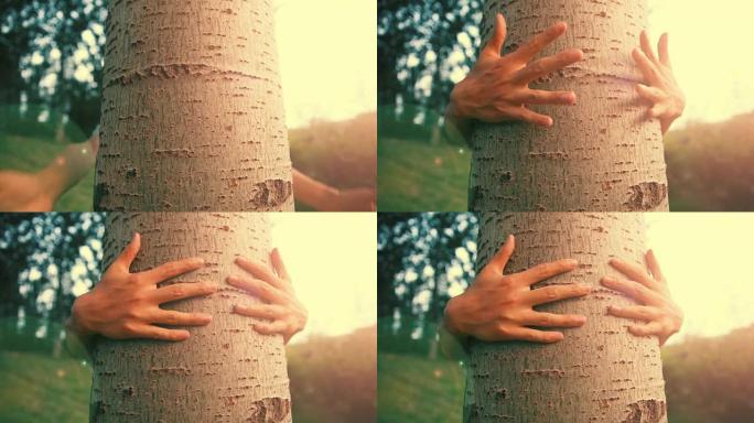 拥抱一棵树