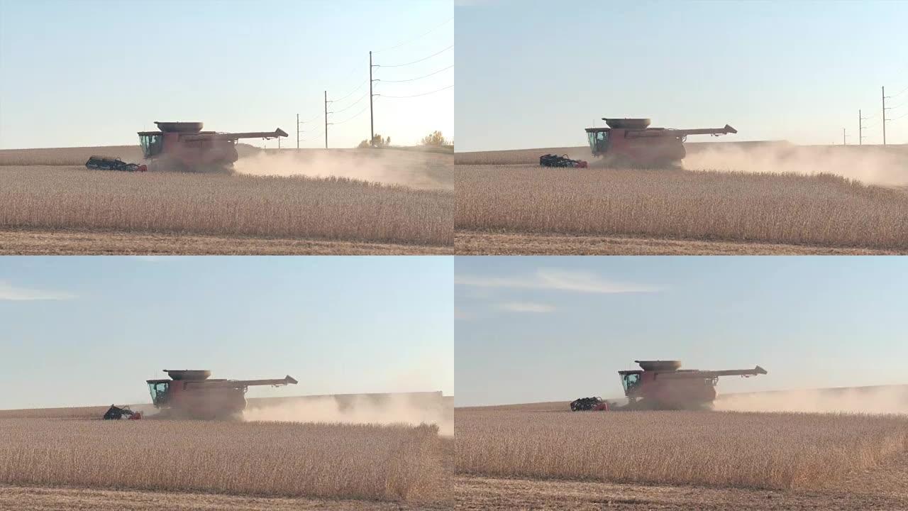 特写: 联合收割机在农业农场的尘土飞扬的土地上收集小麦