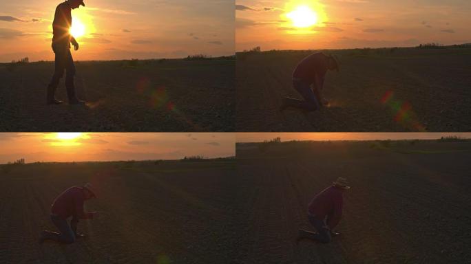 日落时分，一个农民在田园诗般的田地里犁地