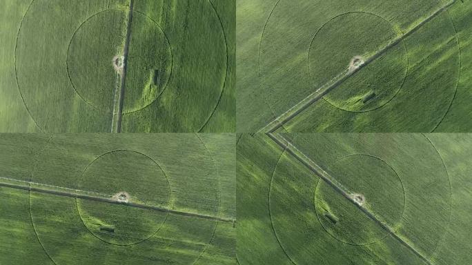 玉米田灌溉模式的高鸟瞰图