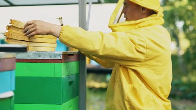 夏日养蜂人清洁木制蜂蜜框架在养蜂场工作的Steadicam镜头