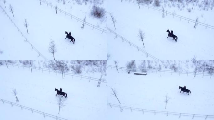 空中: 年轻的女骑手在冬季仙境骑马