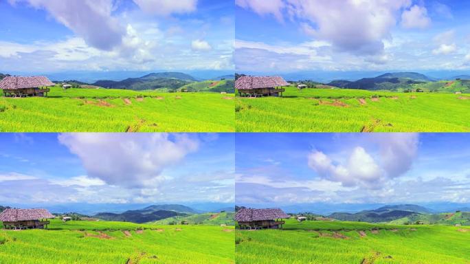 4k。美丽的日子里的延时景观水稻梯田