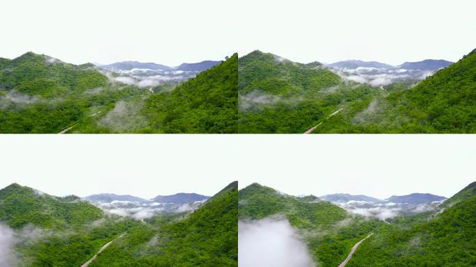 4k鸟瞰图: 泰国Ratchaburi的雾蒙蒙的乡间小路