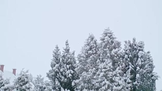 雪树和冬季屋顶，超级慢动作